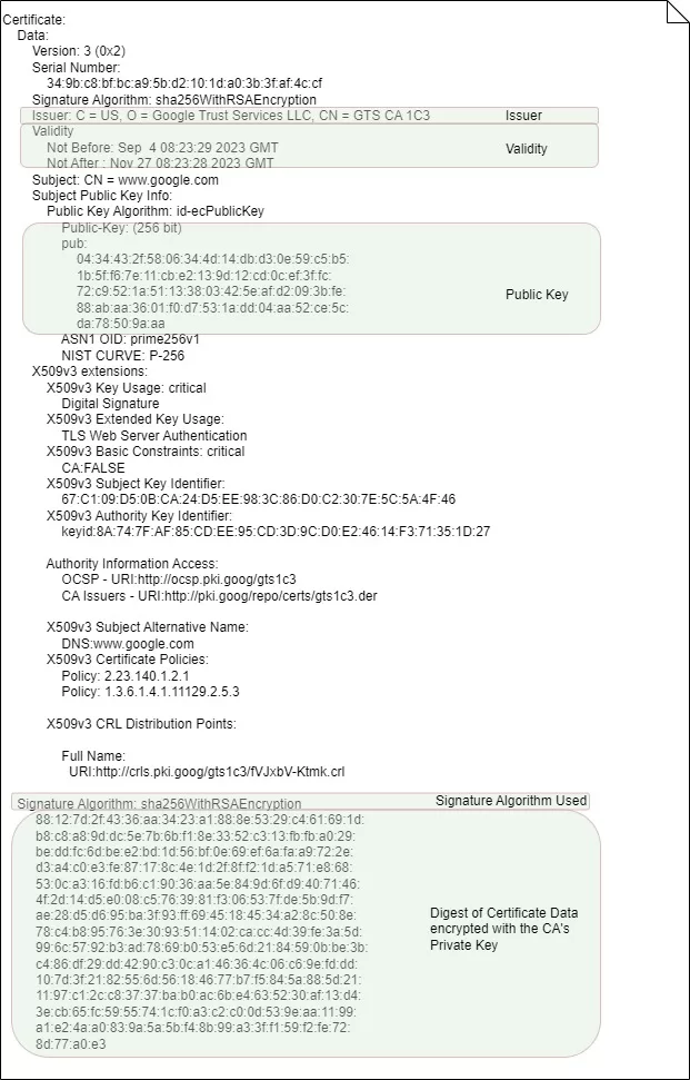 X509 Certificates: The Guardians of Digital Trust 2 X509 certificate